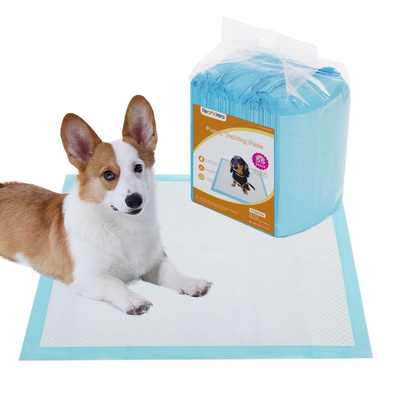 Feandrea Tapis Éducateurs , Anti-fuites et Séchage Rapide