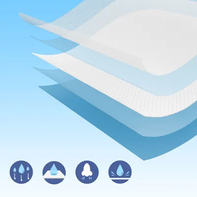 Feandrea Tapis Éducateurs , Anti-fuites et Séchage Rapide