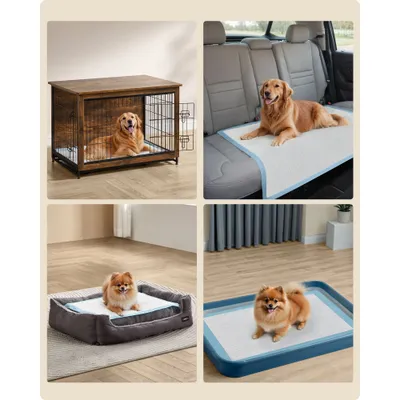 Feandrea Tapis Éducateurs , Anti-fuites et Séchage Rapide