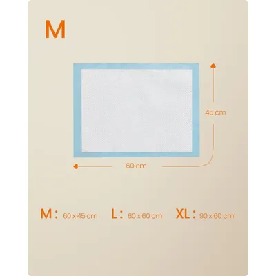 Feandrea Tapis Éducateurs , Anti-fuites et Séchage Rapide