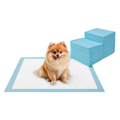 Feandrea Tapis Éducateurs , Anti-fuites et Séchage Rapide