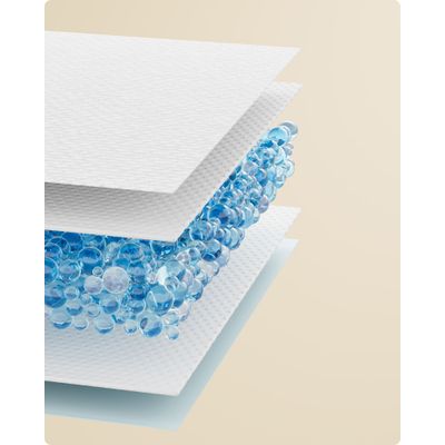 Feandrea Tapis Éducateurs , Anti-fuites et Séchage Rapide