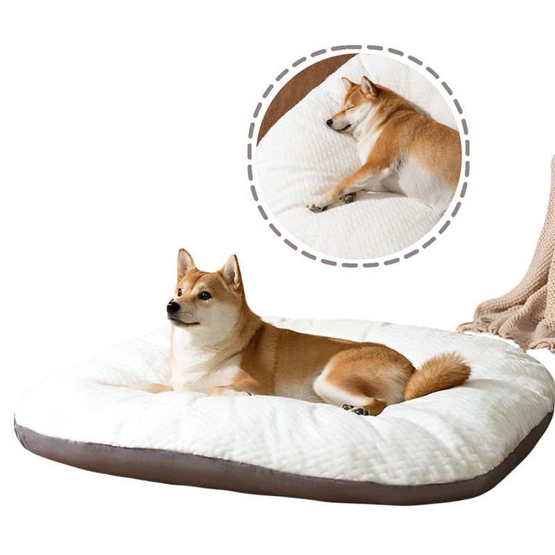 IntiMeg Kissen – Ovales Kissen für Hunde und Katzen