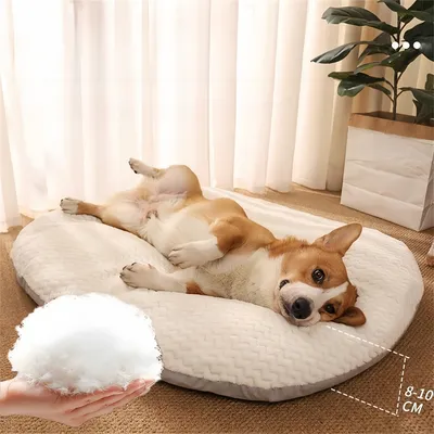 IntiMeg Kissen – Ovales Kissen für Hunde und Katzen