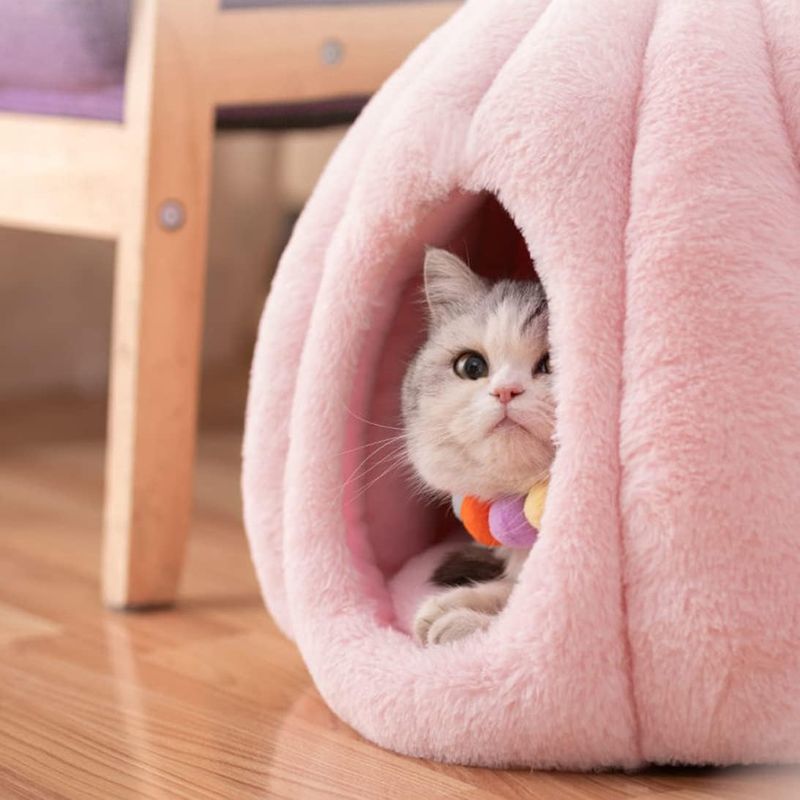 Lits pour chats et canapés troglodytes