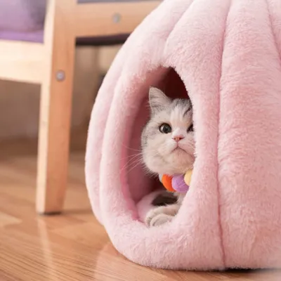 UAMLY Katzenbetten und Höhlensofas