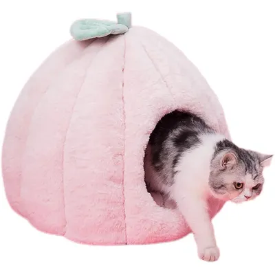 UAMLY Katzenbetten und Höhlensofas