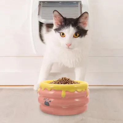 KPYTE Gamelle pour chat en céramique