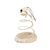 Pawzy Jouet créatif pour chat - Souris durable