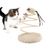 Pawzy Jouet créatif pour chat - Souris durable