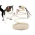 Pawzy Jouet créatif pour chat - Souris durable