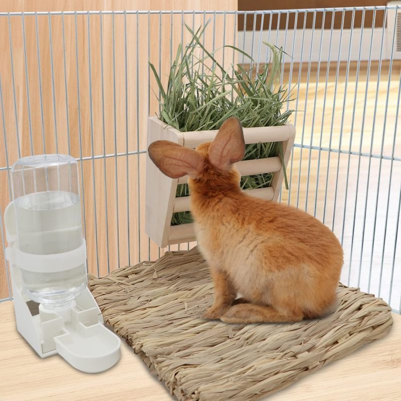Pawzy Râtelier à foin pour cochon d'Inde