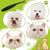 Pawzy Brosse détachante pour les yeux de chien et chat