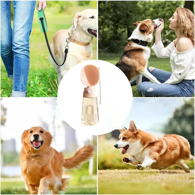 Pawzy Goûteur d'eau portable pour chien