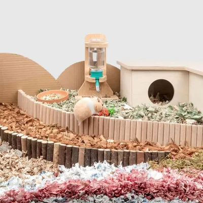 Pawzy Jouets de pont suspendu pour petits animaux