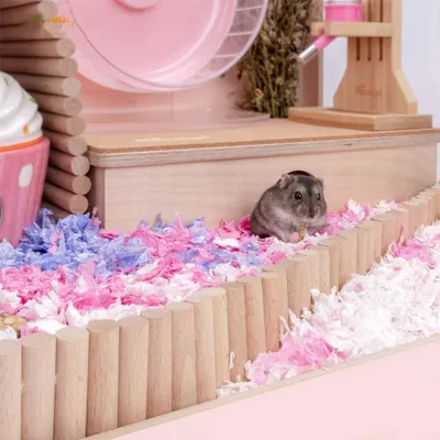 Pawzy Jouets de pont suspendu pour petits animaux