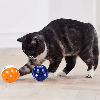 Pawzy Balle avec clochette pour chat