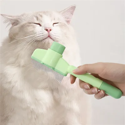 Pawzy Peigne pour animal de compagnie