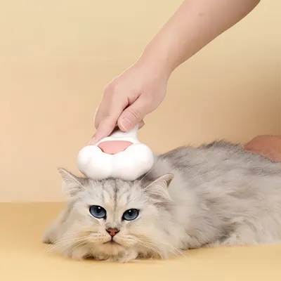 Pawzy Brosse dépilatoire à griffes pour chats et chiens
