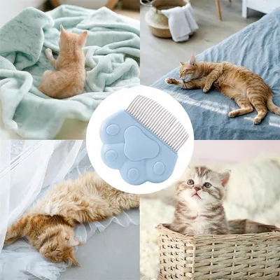 Pawzy Peigne démêlant pour chat Bleu