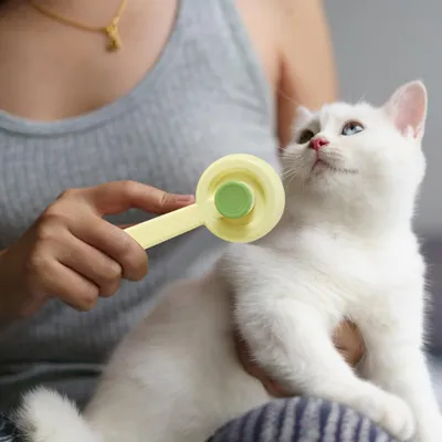 Pawzy Brosoir auto-nettoyant - Pour poils d'animaux