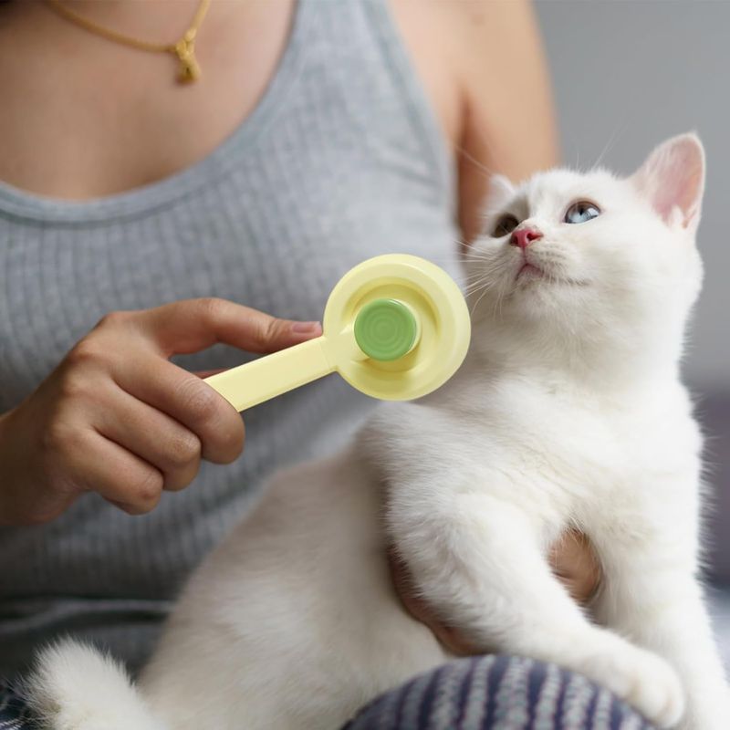 Pawzy Brosoir auto-nettoyant - Pour poils d'animaux