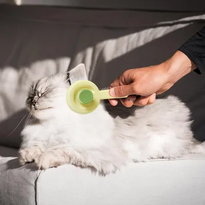 Pawzy Brosoir auto-nettoyant - Pour poils d'animaux