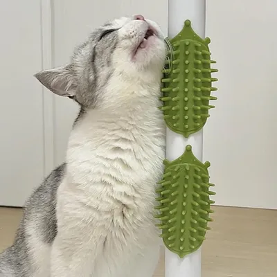 Pawzy Brosse de nettoyage et de massage pour chat