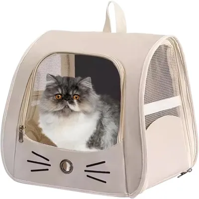 Pawzy Sac à chat en capsule spatiale portatif
