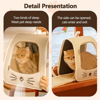 Pawzy Sac à chat en capsule spatiale portatif