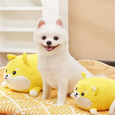 Pawzy Jouet en peluche pour chien à effet sonore