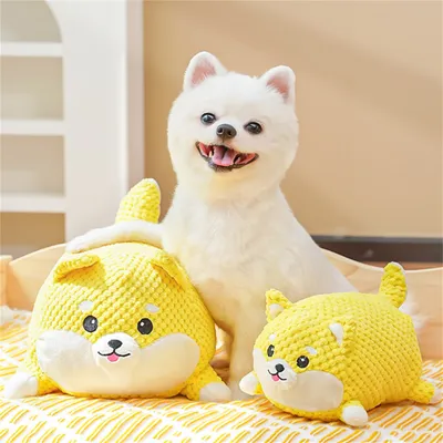 Pawzy Jouet en peluche pour chien à effet sonore