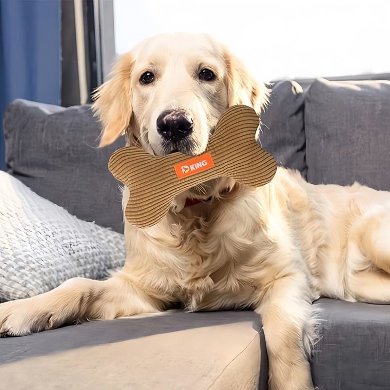 Pawzy Jouet en peluche chien - Os dentition interactif & apaisant