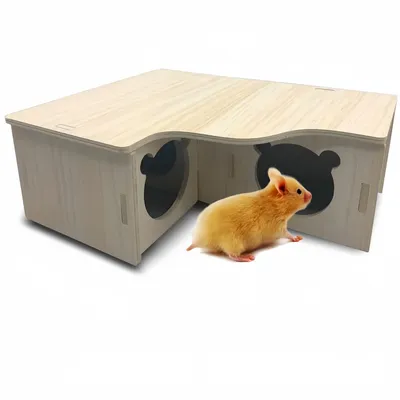 Pawzy Nid en bois pour animaux de compagnie adapté aux petits animaux