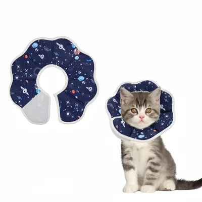 Pawzy Collier de convalescence pour chat