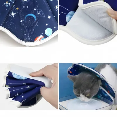 Pawzy Collier de convalescence pour chat