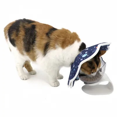 Pawzy Collier de convalescence pour chat