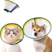 Pawzy Collier élisabéthain pour chats et chiens