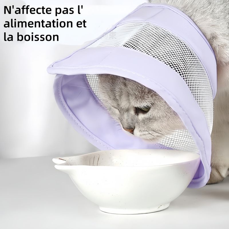 Pawzy Cercle élisabéthain pour chat