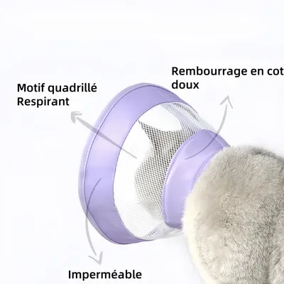 Pawzy Cercle élisabéthain pour chat