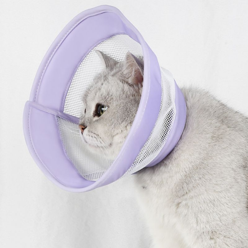 Pawzy Cercle élisabéthain pour chat