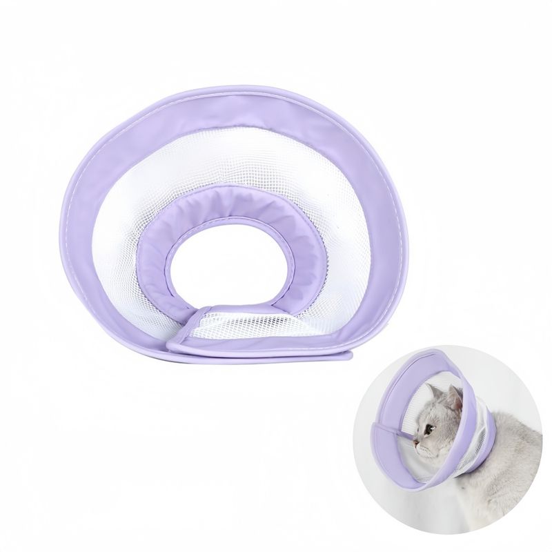 Pawzy Cercle élisabéthain pour chat