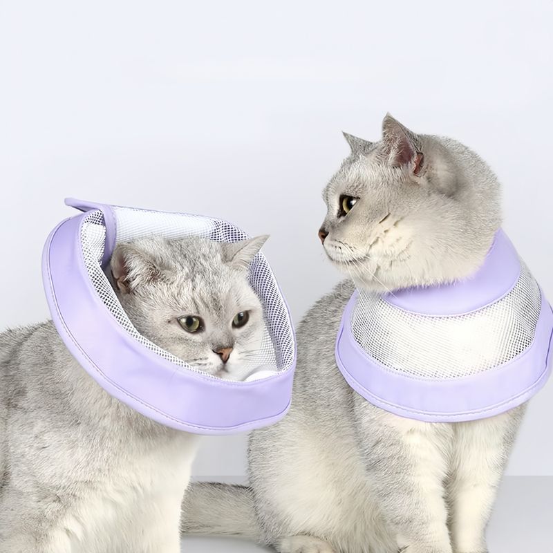 Pawzy Cercle élisabéthain pour chat