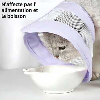 Pawzy Cercle élisabéthain pour chat