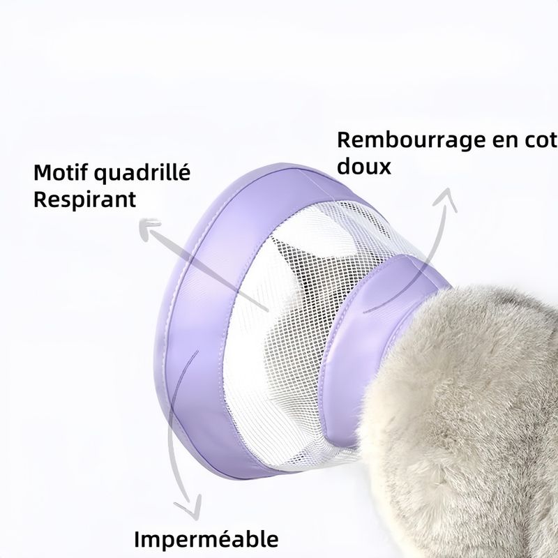 Pawzy Cercle élisabéthain pour chat