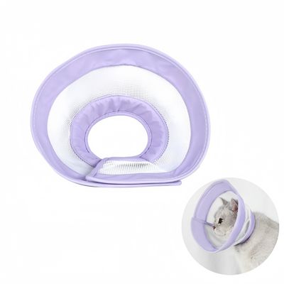 Pawzy Cercle élisabéthain pour chat