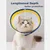 Pawzy Collier élisabéthain pour chats et chiens Pawzy Collier élisabéthain pour chats et chiens