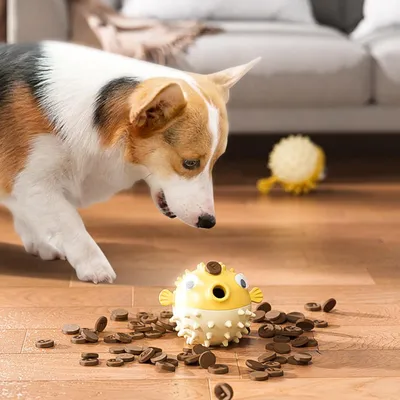 Pawzy Balle distributeur croquettes - Nettoyage dents chien