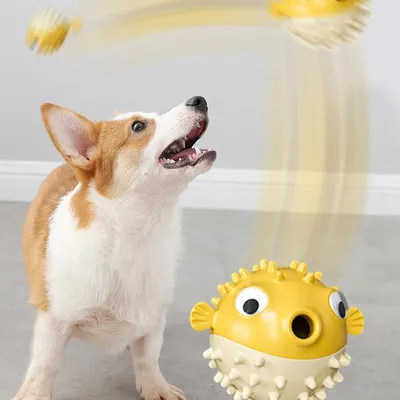 Pawzy Balle distributeur croquettes - Nettoyage dents chien