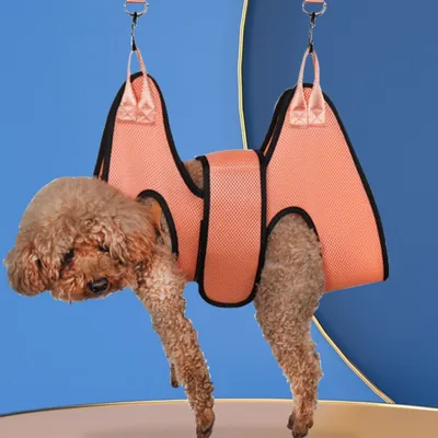 Pawzy Hamac de toilettage pour chats et chiens couleur orange